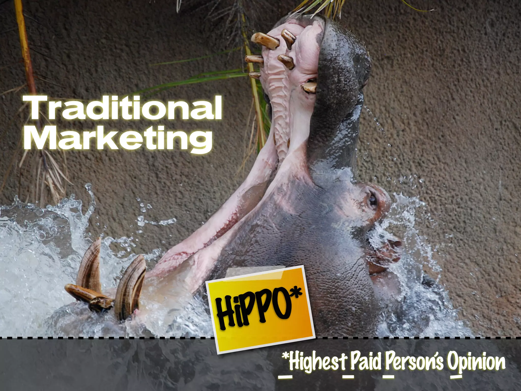 Traditional
Marketing




          HiPPO*
              *Highest Paid Person’s Opinion
 