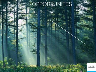 OPPORTUNITES
 