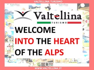 WELCOME
INTO THE HEART
OF THE ALPS
 