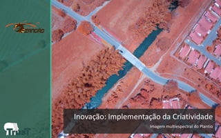 Inovação: Implementação da Criatividade 
Imagem multiespectral do Plantio  