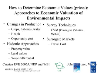 Valuation of Environmental Resources | PPT
