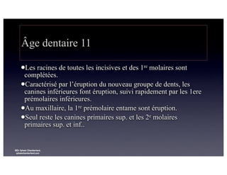Âge dentaire 11
lLes

racines de toutes les incisives et des 1re molaires sont
complétées.
lCaractérisé par l’éruption du nouveau groupe de dents, les
canines inférieures font éruption, suivi rapidement par les 1ere
prémolaires inférieures.
lAu maxillaire, la 1re prémolaire entame sont éruption.
lSeul reste les canines primaires sup. et les 2e molaires
primaires sup. et inf..

©Dr Sylvain Chamberland,
sylvainchamberland.com

 