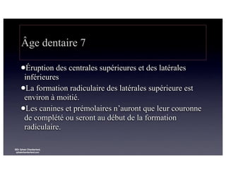 Âge dentaire 7
lÉruption

des centrales supérieures et des latérales
inférieures
lLa formation radiculaire des latérales supérieure est
environ à moitié.
lLes canines et prémolaires n’auront que leur couronne
de complété ou seront au début de la formation
radiculaire.
©Dr Sylvain Chamberland,
sylvainchamberland.com

 