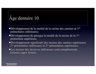 Âge dentaire 10
lDéveloppement

de la moitié de la racine des canines et 1re
prémolaires inférieures.
lDéveloppement de presque la moitié de la racine de la 1re
prémolaire supérieure.
lDéveloppement significatif des racines des canines supérieures
2es prémolaires inférieures et 2es prémolaires supérieures.
lLes racines des incisives inférieures sont complètement
formées (apex fermé).

©Dr Sylvain Chamberland,
sylvainchamberland.com

 