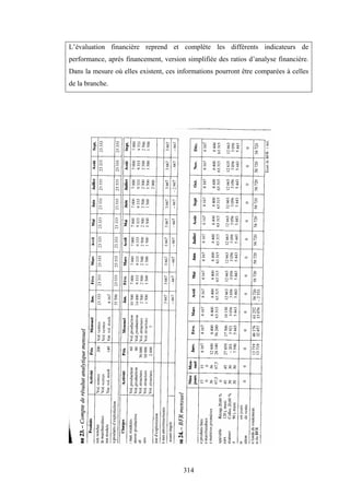 314
L’évaluation financière reprend et complète les différents indicateurs de
performance, après financement, version simplifiée des ratios d’analyse financière.
Dans la mesure où elles existent, ces informations pourront être comparées à celles
de la branche.
 