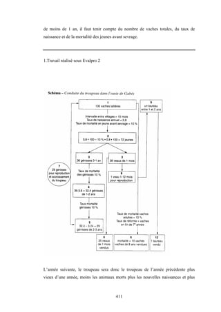 411
de moins de 1 an, il faut tenir compte du nombre de vaches totales, du taux de
naissance et de la mortalité des jeunes avant sevrage.
1.Travail réalisé sous Evalpro 2
L’année suivante, le troupeau sera donc le troupeau de l’année précédente plus
vieux d’une année, moins les animaux morts plus les nouvelles naissances et plus
 