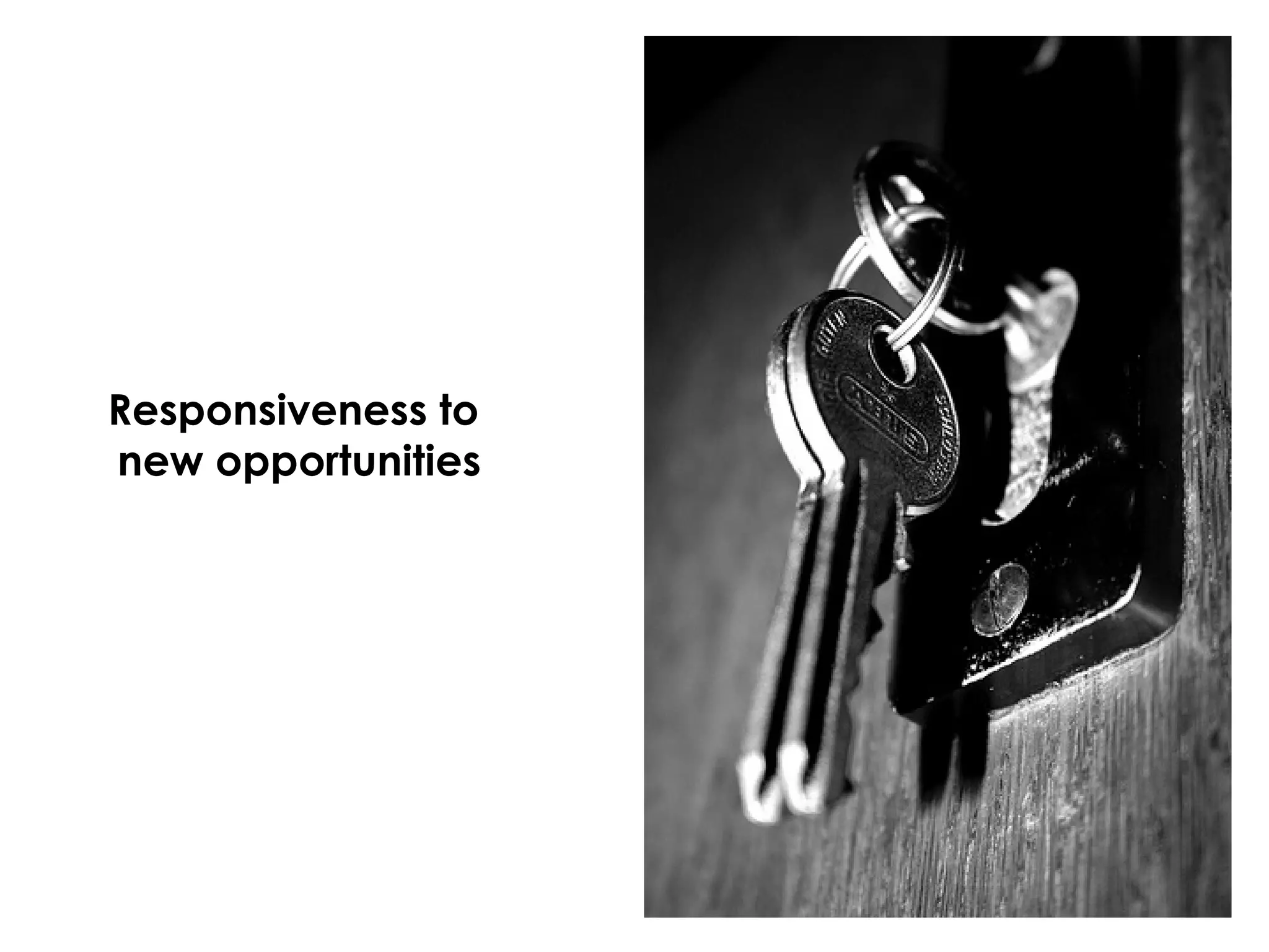 Responsiveness to  new opportunities 