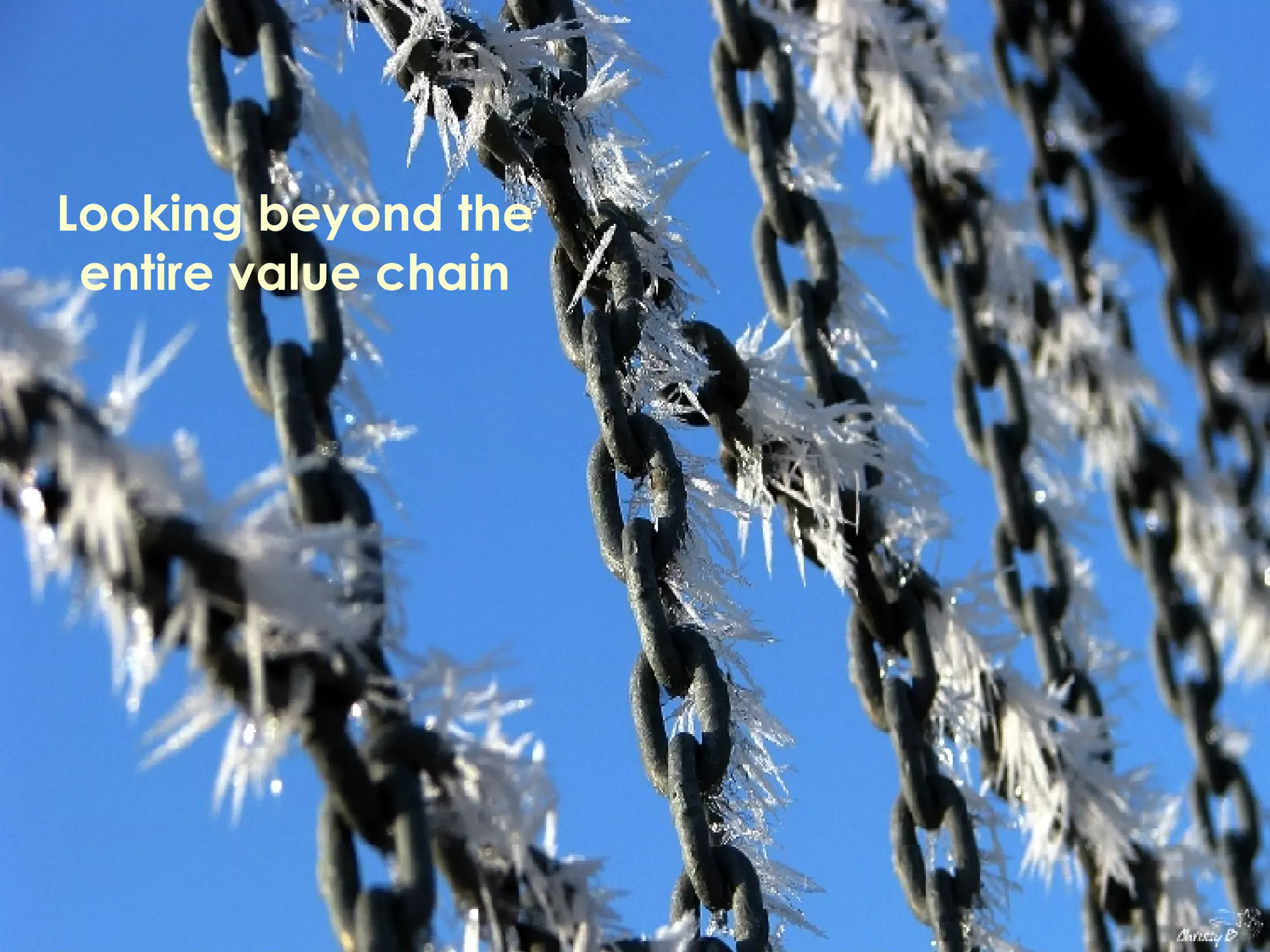 Looking beyond the entire value chain 