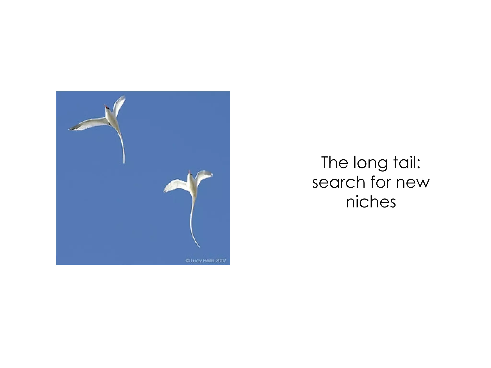 The long tail: search for new niches 
