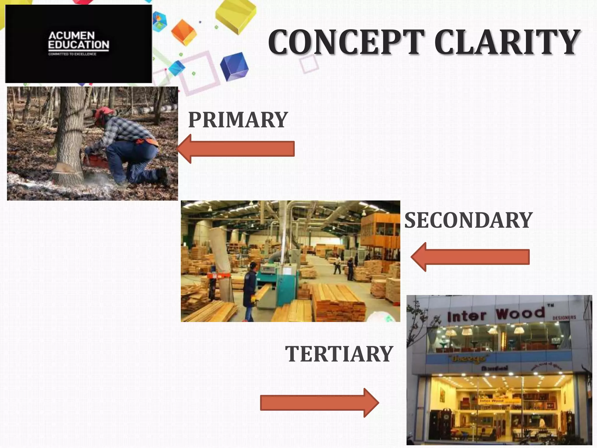 CONCEPT CLARITY
• PRIMARY
SECONDARY
TERTIARY
 