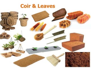 Value added products from coconut | PPTX