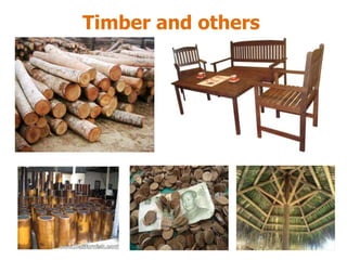 Value added products from coconut | PPTX