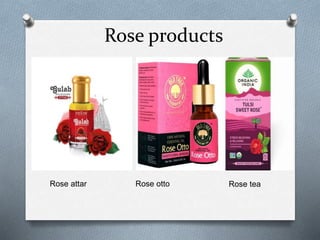 Product Overview For Roses Value added products from fresh flowers . by Arushi garg | PPTX