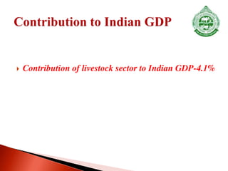  Contribution of livestock sector to Indian GDP-4.1%
 