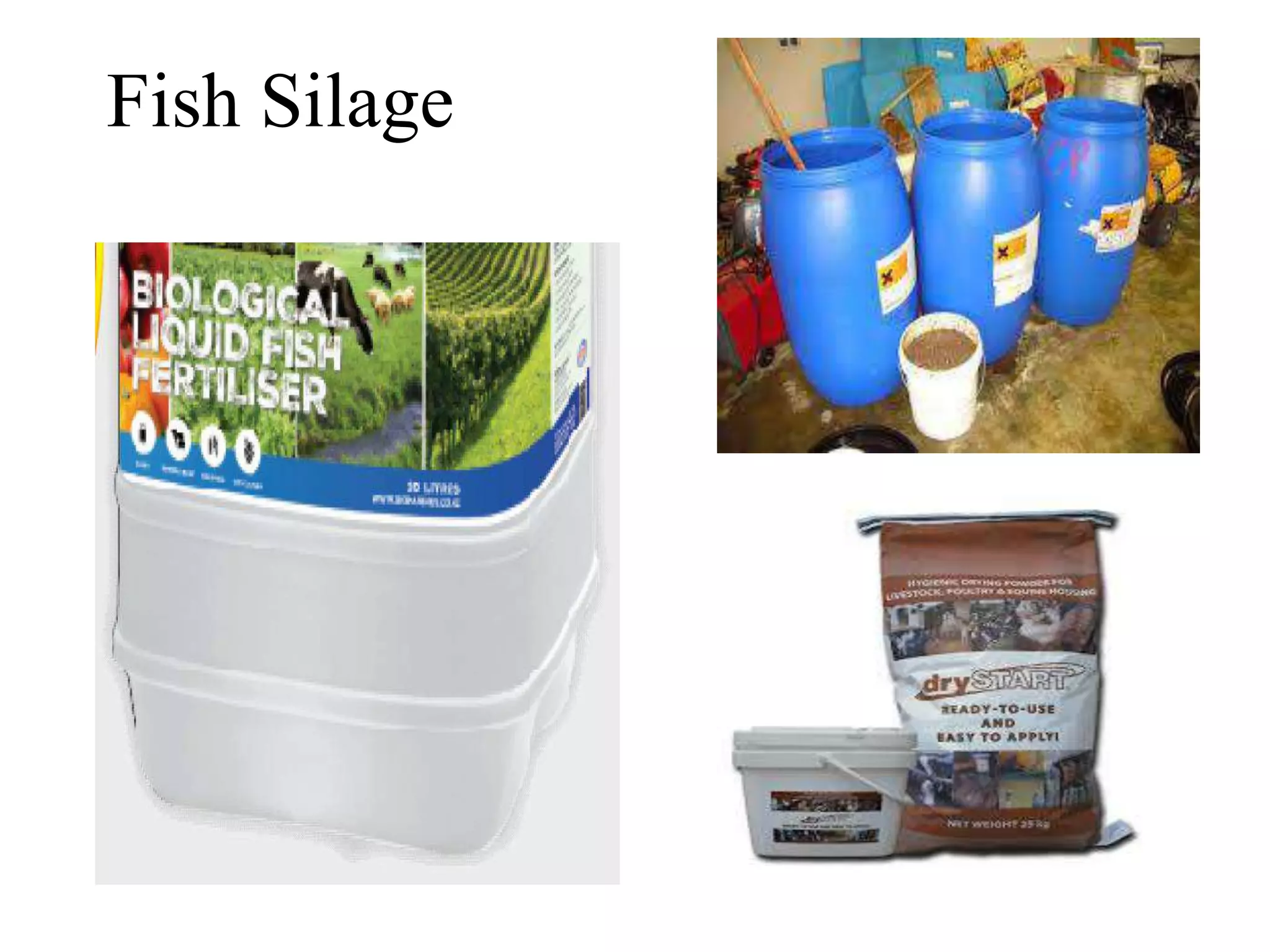 Fish Silage
 