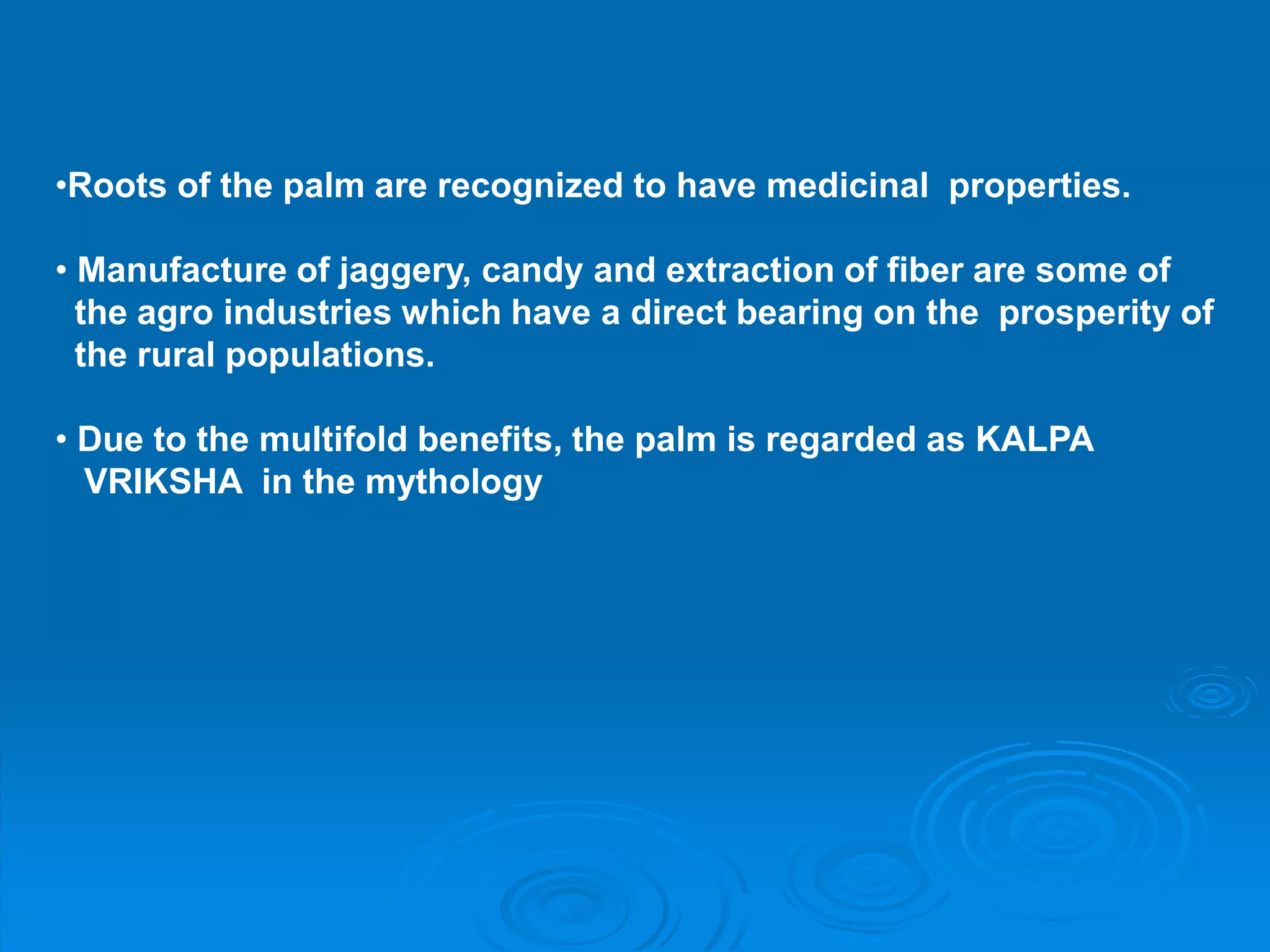 Value addition palmyrah | PPT
