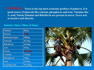 Value addition palmyrah | PPT