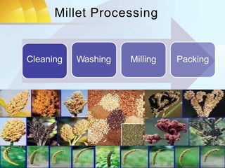 value chain analysis of millet.pptx