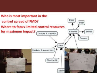 Uses of the value chain approach in livestock and beef