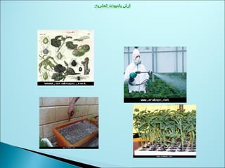:‫الحشريه‬ ‫بالمبيدات‬ ‫ألرش‬
 