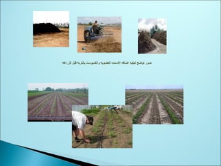 ‫الزراعه‬ ‫قبل‬ ‫بالتربه‬ ‫والكمبوست‬ ‫العضويه‬ ‫السمده‬ ‫اضافه‬ ‫كيفيه‬ ‫توضح‬ ‫صور‬
 