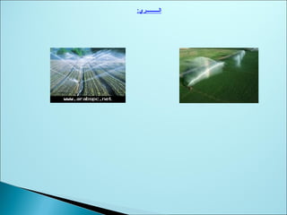 :‫الــــــــــري‬
 