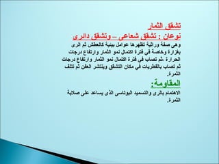 ‫الثمار‬ ‫تشقق‬
‫دائرى‬ ‫وتشقق‬ – ‫شعاعى‬ ‫تشقق‬ : ‫ثنوعان‬
‫الرى‬ ‫ثم‬ ‫كالعطش‬ ‫بيئية‬ ‫عوامل‬ ‫تظهرها‬ ‫وراثية‬ ‫صفة‬ ‫وهى‬
‫درجات‬ ‫وارتفاع‬ ‫الثمار‬ ‫نمو‬ ‫اكتمال‬ ‫فترة‬ ‫في‬ ‫وخاصة‬ ‫بغزارة‬
‫درجات‬ ‫وارتفاع‬ ‫الثمار‬ ‫نمو‬ ‫اكتمال‬ ‫فترة‬ ‫في‬ ‫تصاب‬ ‫،ثم‬ ‫الحرارة‬
‫تتلف‬ ‫ثم‬ ‫العفن‬ ‫وينتشر‬ ‫التشقق‬ ‫مكان‬ ‫في‬ ‫بالفطريات‬ ‫تصاب‬ ‫ثم‬
‫الثمرة‬.
:‫المقاومة‬
‫صلبة‬ ‫على‬ ‫يساعد‬ ‫الذى‬ ‫البوتاسى‬ ‫والتسميد‬ ‫بالرى‬ ‫الهتمام‬
‫الثمرة‬.
 