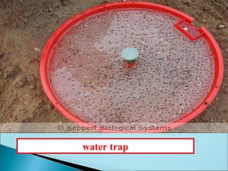 water trap
 