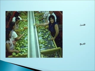 ‫الفسسسسرز‬
‫التدريج‬
 