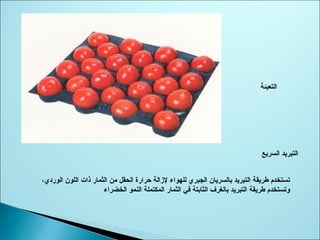 ‫التعبئة‬
‫السريع‬ ‫التبريد‬
،‫الوردي‬ ‫اللون‬ ‫ذات‬ ‫الثمار‬ ‫ثمن‬ ‫الحقل‬ ‫يحرارة‬ ‫لزالة‬ ‫للهواء‬ ‫الجبري‬ ‫بالسريان‬ ‫التبريد‬ ‫طريقة‬ ‫تستخدم‬
‫الخضراء‬ ‫النمو‬ ‫المكتملة‬ ‫الثمار‬ ‫في‬ ‫الثابتة‬ ‫بالغرف‬ ‫التبريد‬ ‫طريقة‬ ‫وتستخدم‬
 