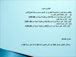 ‫المبرد‬ ‫التخزين‬
‫الثمار‬ ‫نضج‬ ‫ثمريحلة‬ ‫يحسب‬ ‫الشحن‬ ‫أو‬ ‫للتخزين‬ ‫المناوسبة‬ ‫الحرارة‬ ‫درجة‬ ‫تختلف‬.
)‫أ‬‌(.‫خضراء‬ ‫النمو‬ ‫ثمكتملة‬ ‫ثمار‬
‫ثمن‬ ‫يحرارة‬ ‫درجة‬ ‫علي‬ ‫تخزن‬12-14‫ثمن‬ ‫نسبية‬ ‫ورطوبة‬ ‫م‬90-95.%
)‫ب‬‌(.‫اللون‬ ‫وردية‬ ‫ثمار‬
‫ثمن‬ ‫يحرارة‬ ‫درجة‬ ‫علي‬ ‫الثمار‬ ‫تخزن‬10-12‫ثمن‬ ‫نسبية‬ ‫ورطوبة‬ ‫م‬90-95.%
)‫ت‬‌(.‫صلبه‬ ‫يحمراء‬ ‫ثمار‬
‫ثمن‬ ‫يحرارة‬ ‫درجة‬ ‫علي‬ ‫الثمار‬ ‫تخزن‬8-10‫ثمن‬ ‫نسبية‬ ‫ورطوبة‬ ‫م‬90-95.%
‫الطماطم‬ ‫إنضاج‬
‫بتركيز‬ ‫الثيلين‬ ‫يستعمل‬100‫لمدة‬ ‫المليون‬ ‫فى‬ ‫جزء‬48‫درجة‬ ‫على‬ ‫وساعة‬205
‫م‬
 