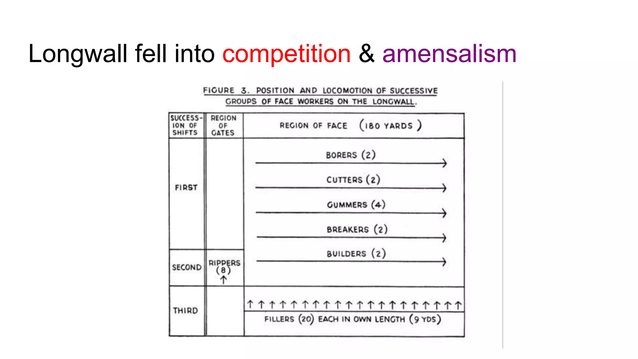 Longwall fell into competition & amensalism
 