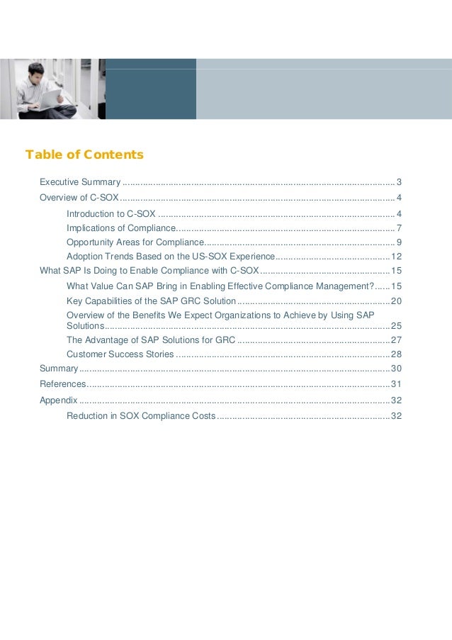Sox implementation project plan picture