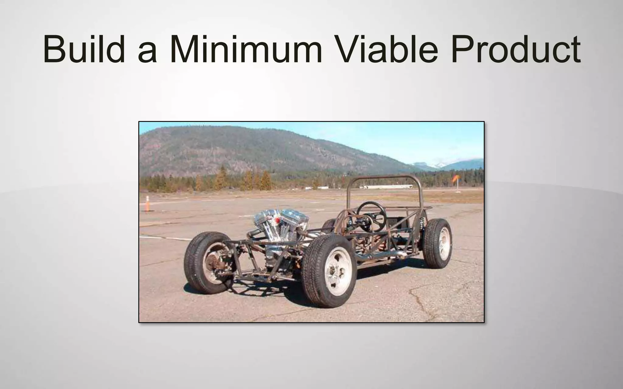 Build a Minimum Viable Product
 