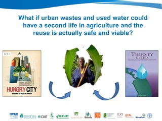 What if urban wastes and used water could
have a second life in agriculture and the
reuse is actually safe and viable?
 