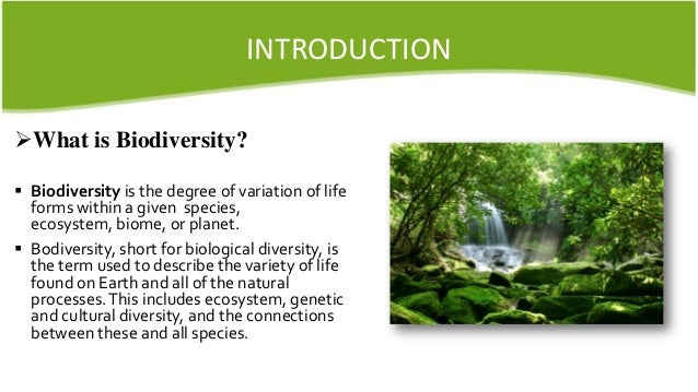 Value of biodiversity