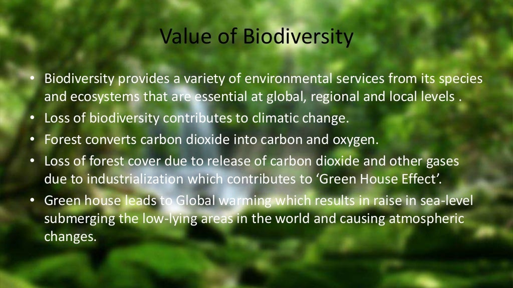 Value of biodiversity
