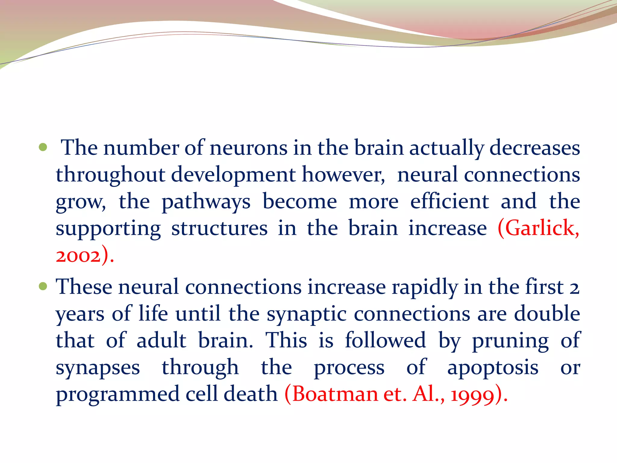  The number of neurons in the brain actually decreases
throughout development however, neural connections
grow, the pathways become more efficient and the
supporting structures in the brain increase (Garlick,
2002).
 These neural connections increase rapidly in the first 2
years of life until the synaptic connections are double
that of adult brain. This is followed by pruning of
synapses through the process of apoptosis or
programmed cell death (Boatman et. Al., 1999).
 