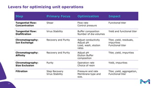 Process Development for Cell Therapy and Viral Gene Therapy | PPTX