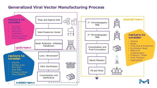 Process Development for Cell Therapy and Viral Gene Therapy