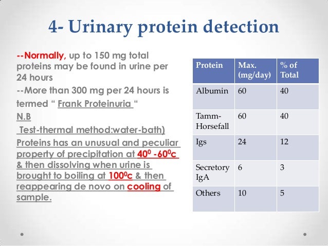 Urinalysis Protein 3 Diet