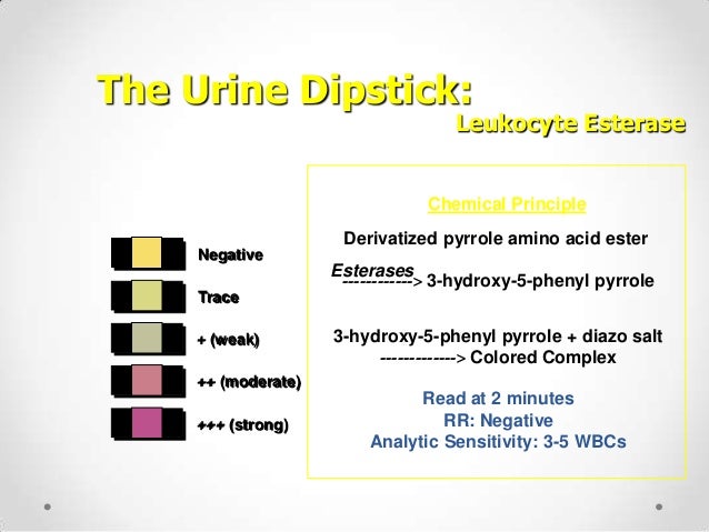 Table 1 From Routine Tests And Automated Urinalysis In Patients