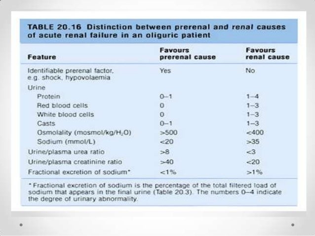 Value Of Urinalysis In Clinical Medicine Copy