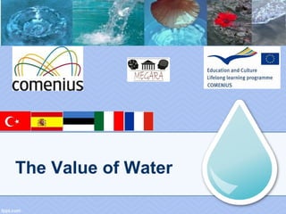 The Value of Water
 