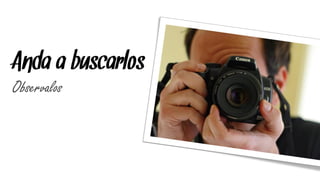 Anda a buscarlos
Observalos
 