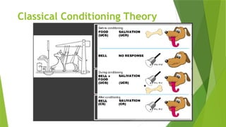 Classical Conditioning Theory
 