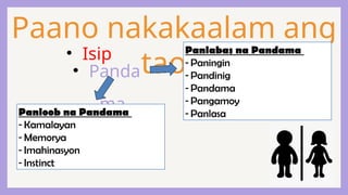 Paano nakakaalam ang
tao?
• Panda
ma
• Isip Panlabas na Pandama
- Paningin
- Pandinig
- Pandama
- Pangamoy
- Panlasa
Panloob na Pandama
- Kamalayan
- Memorya
- Imahinasyon
- Instinct
 