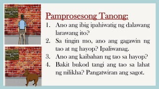 Pamprosesong Tanong:
1. Ano ang ibig ipahiwatig ng dalawang
larawang ito?
2. Sa tingin mo, ano ang gagawin ng
tao at ng hayop? Ipaliwanag.
3. Ano ang kaibahan ng tao sa hayop?
4. Bakit bukod tangi ang tao sa lahat
ng nilikha? Pangatwiran ang sagot.
 
