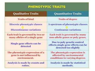 Values and Means - Part 1 | PPT