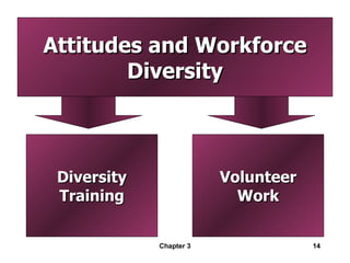 Attitudes and Workforce Diversity Chapter 3 Diversity Training Volunteer Work 